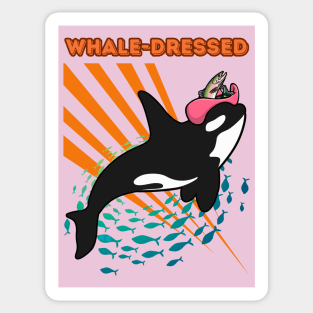 Whale-Dressed _  Funny Orca Sticker